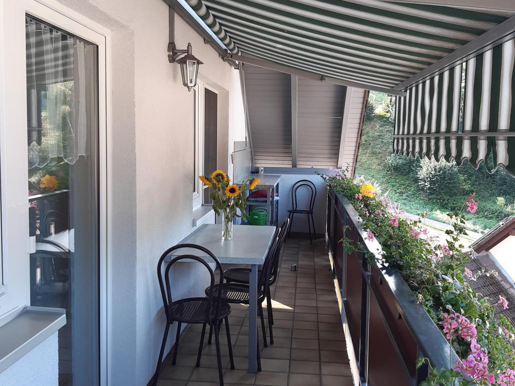 Ferienwohnung Am Geissberg Kleines Wiesental Ngoại thất bức ảnh